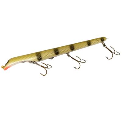Walleye
