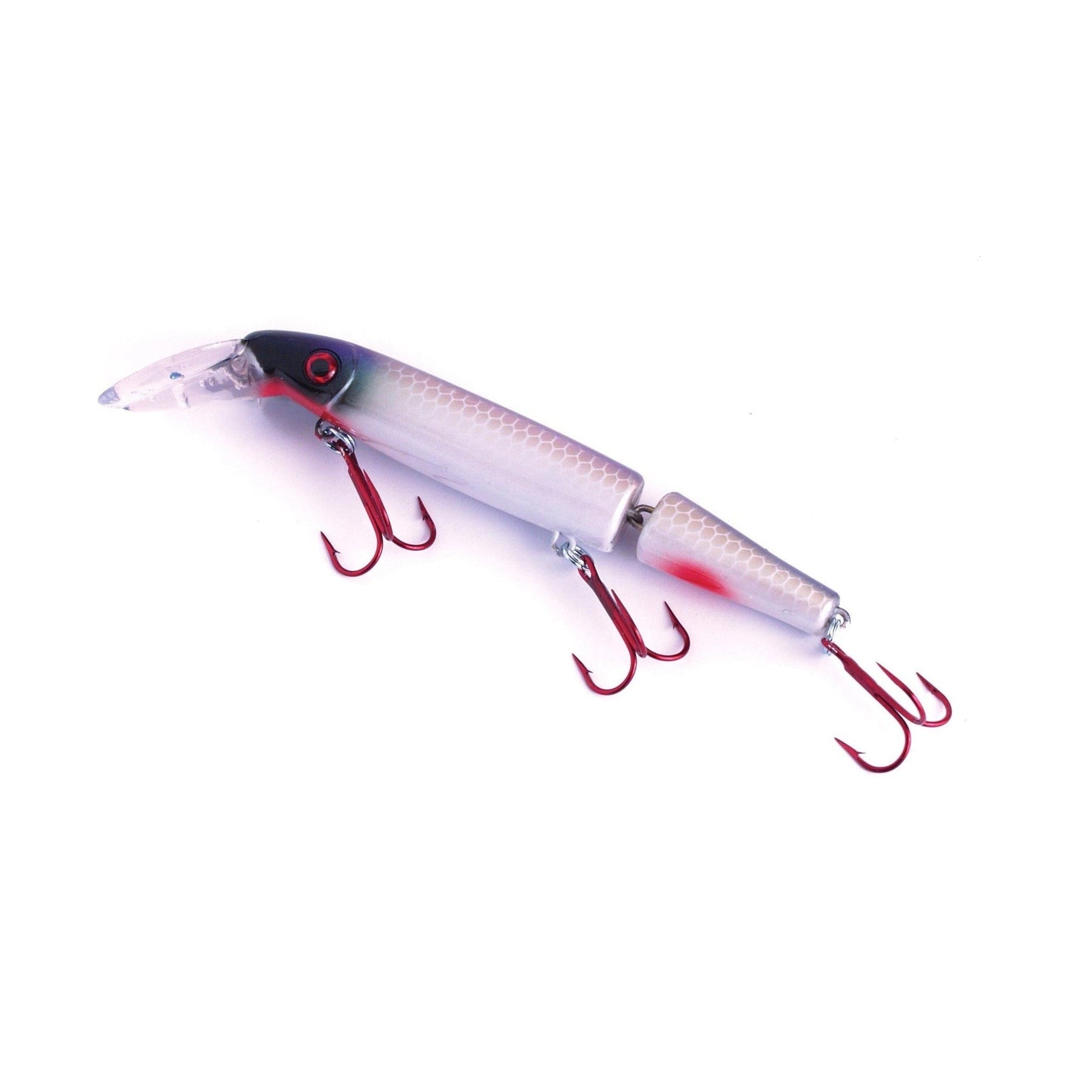 View of Crankbaits Suick Wrangler Cisco Kid Sucker available at EZOKO Pike and Musky Shop
