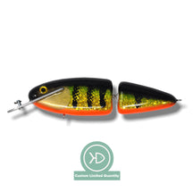 View of Crankbaits Supernatural Big Baits Headlock Jointed 8Five Perch Orange Belly available at EZOKO Pike and Musky Shop