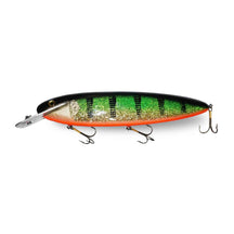 View of Crankbaits Supernatural Big Baits MattLock 10" Orange Belly Glitter Perch available at EZOKO Pike and Musky Shop
