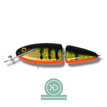 Perch Orange Belly
