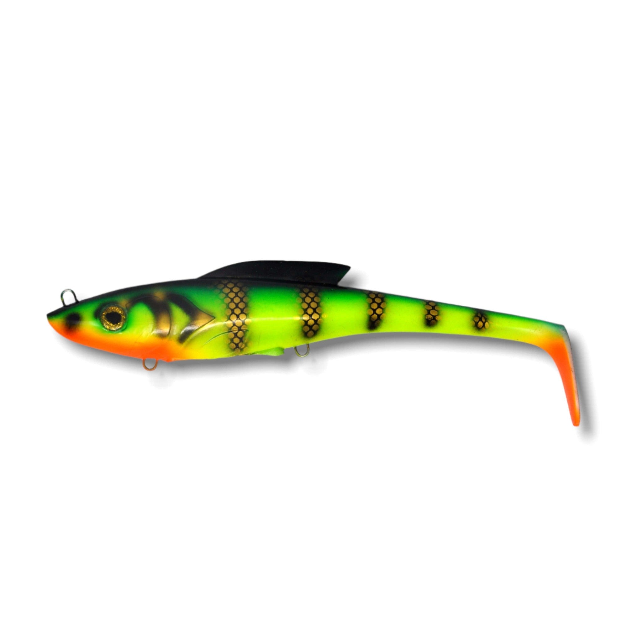 View of Swimbaits Toddy Tickle Baits 11" Warhammer Swimbait Perch available at EZOKO Fishing
