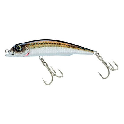 Bronze Shiner