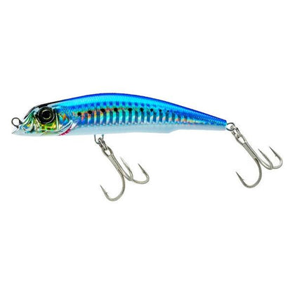 Sardine