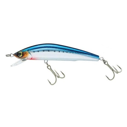 Chrome Sardine