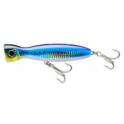 Sardine