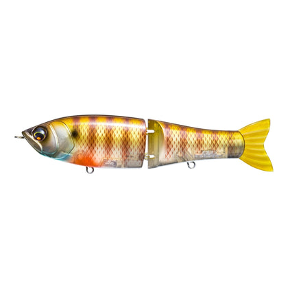 Bluegill