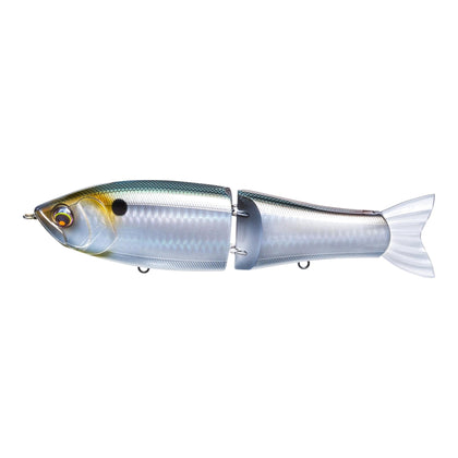 Gizzard Shad