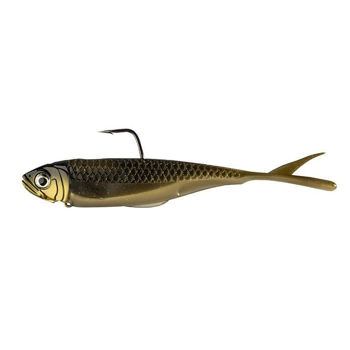View of Swimbait Z-Man Graph ShadZ 3.8" 1/4 OZ AYU available at EZOKO Pike and Musky Shop