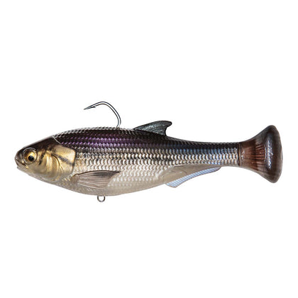 GIZZARD SHAD