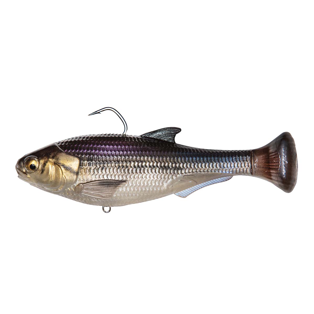 View of Swimbait Z-Man Shadtron LT 6" GIZZARD SHAD available at EZOKO Pike and Musky Shop