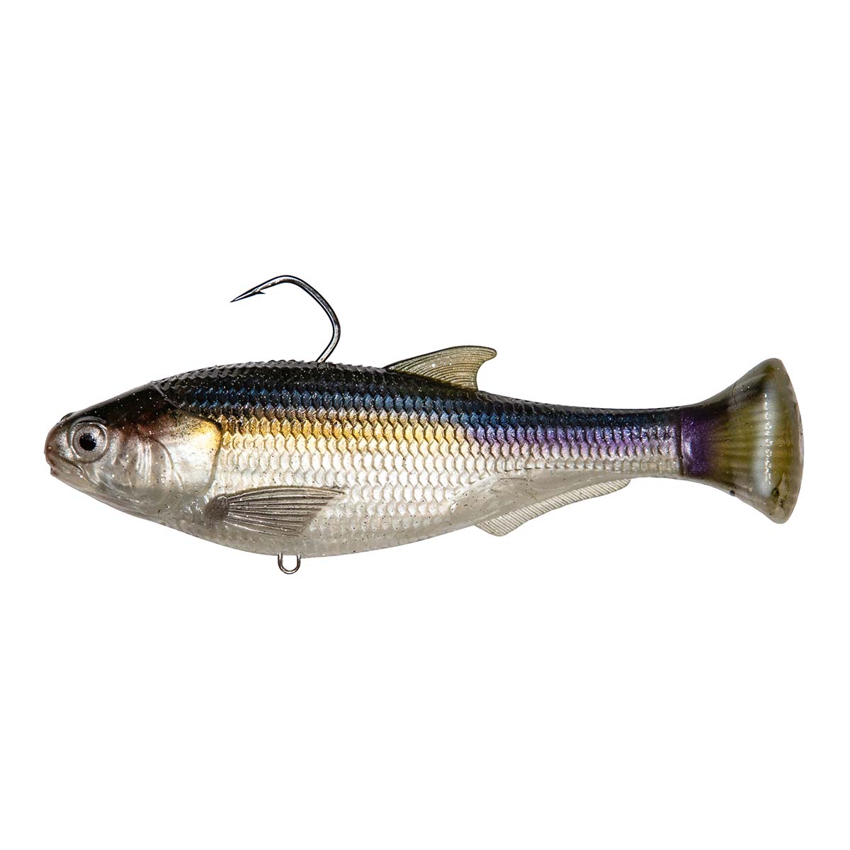 View of Swimbait Z-Man Shadtron LT 6" THREADFIN SHAD available at EZOKO Fishing