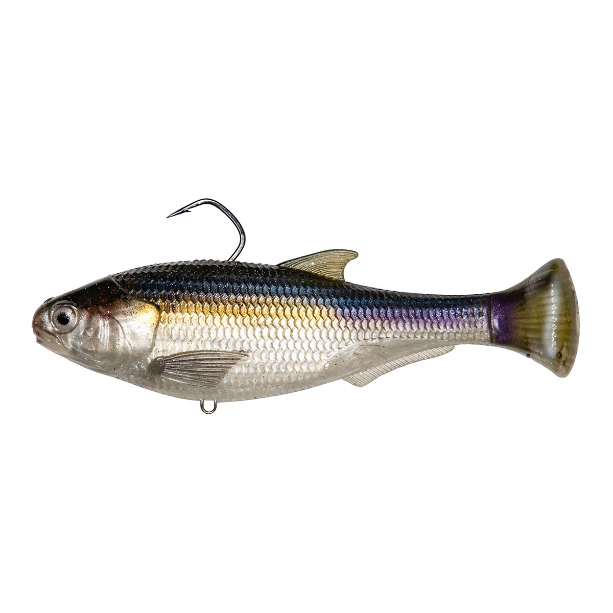 View of Swimbait Z-Man Shadtron LT 6" BLUEBACK HERRING available at EZOKO Pike and Musky Shop
