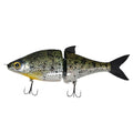 Crappie