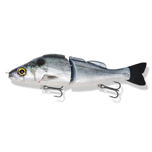 View of Swimbaits Zorba Baits Boogie Woogie Glide Bait American Shad available at EZOKO Pike and Musky Shop