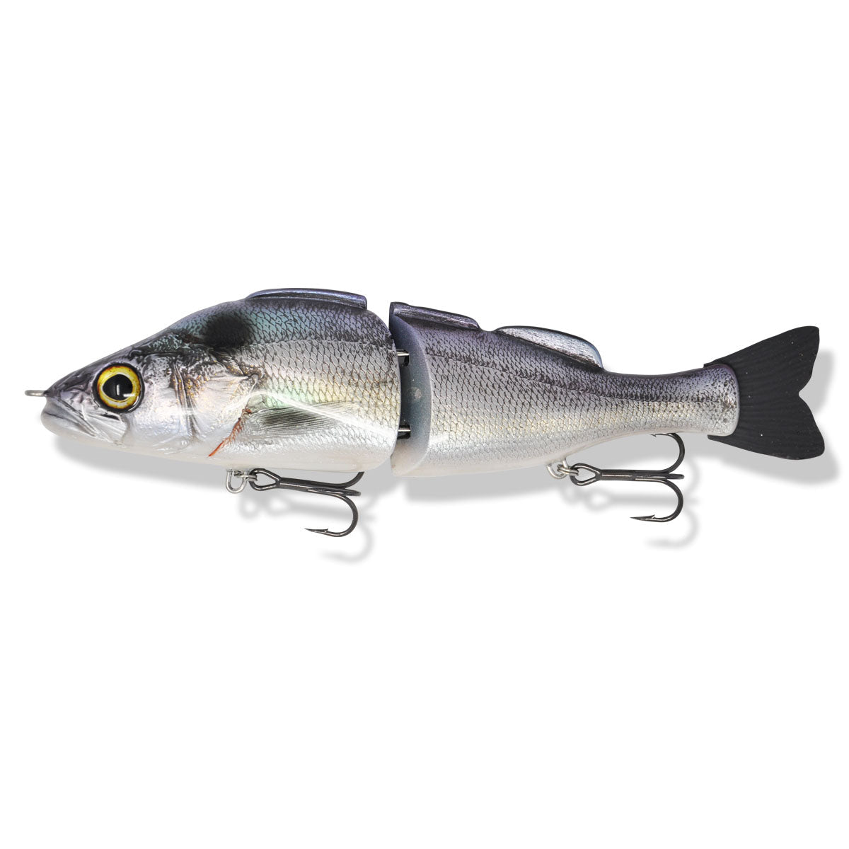 View of Swimbaits Zorba Baits Boogie Woogie Glide Bait Classic Shad available at EZOKO Fishing