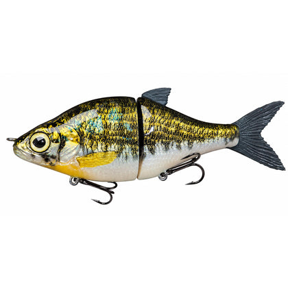 Bass