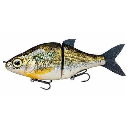 Crappie